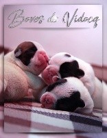 CHIOT